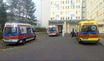Konar drzewa spadł na przedszkolaków