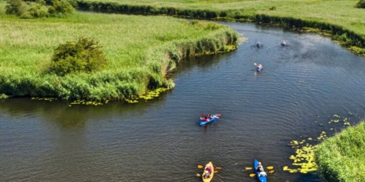Utworzenie parku narodowego na Międzyodrzu. Parlamentarzyści Trzeciej Drogi zabrali głos