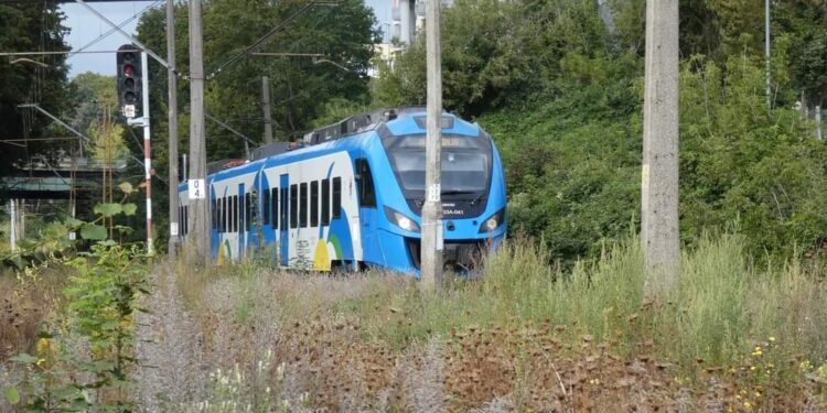Darmowy przejazd pociagiem Polregio