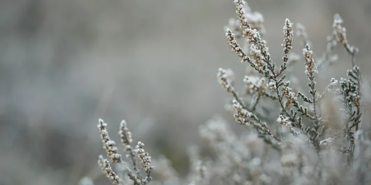 Nagła zmiana pogody w Europie