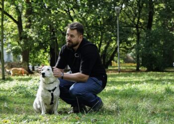 Chcą utworzenia wybiegu dla psów w parku im. Stefana Żeromskiego