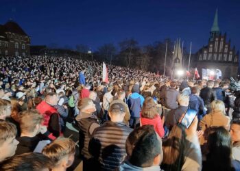 Mentzen przeciw imigrantom z Niemiec