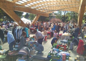 Pchle targi wracają do Szczecina! Najbliższy już w sobotę na osiedlu Słonecznym.