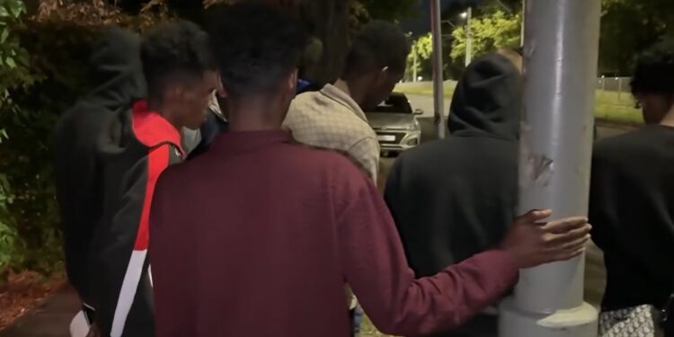 Nie wierzysz? To teraz uwierzysz! Film, na którym Straż Obywatelska broni granicy przed Strażą Graniczną próbującą wpuścić migrantów do Polski!